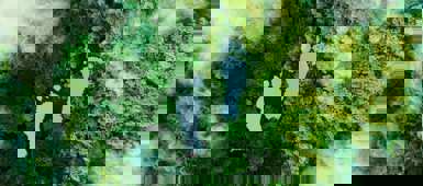 Benefits of becoming Carbon Neutral